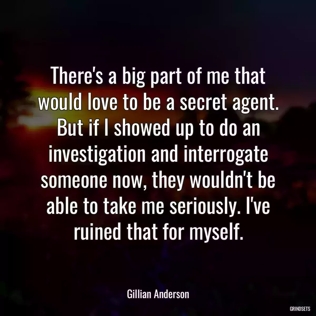 There\'s a big part of me that would love to be a secret agent. But if I showed up to do an investigation and interrogate someone now, they wouldn\'t be able to take me seriously. I\'ve ruined that for myself.