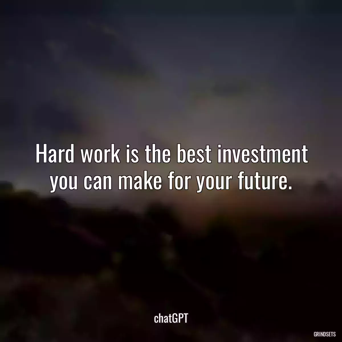 Hard work is the best investment you can make for your future.