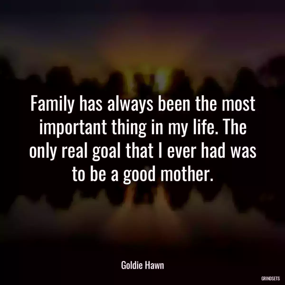 Family has always been the most important thing in my life. The only real goal that I ever had was to be a good mother.