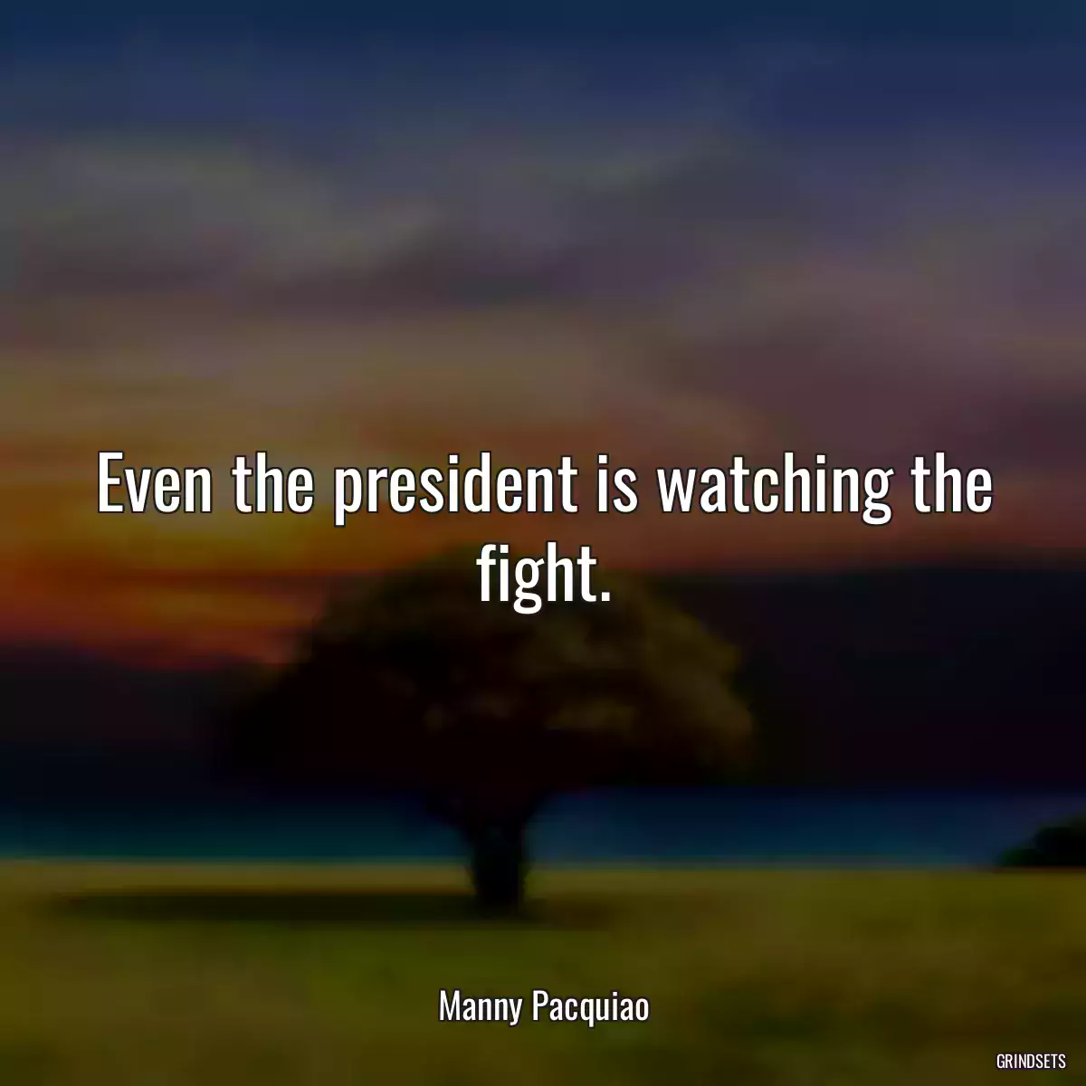 Even the president is watching the fight.