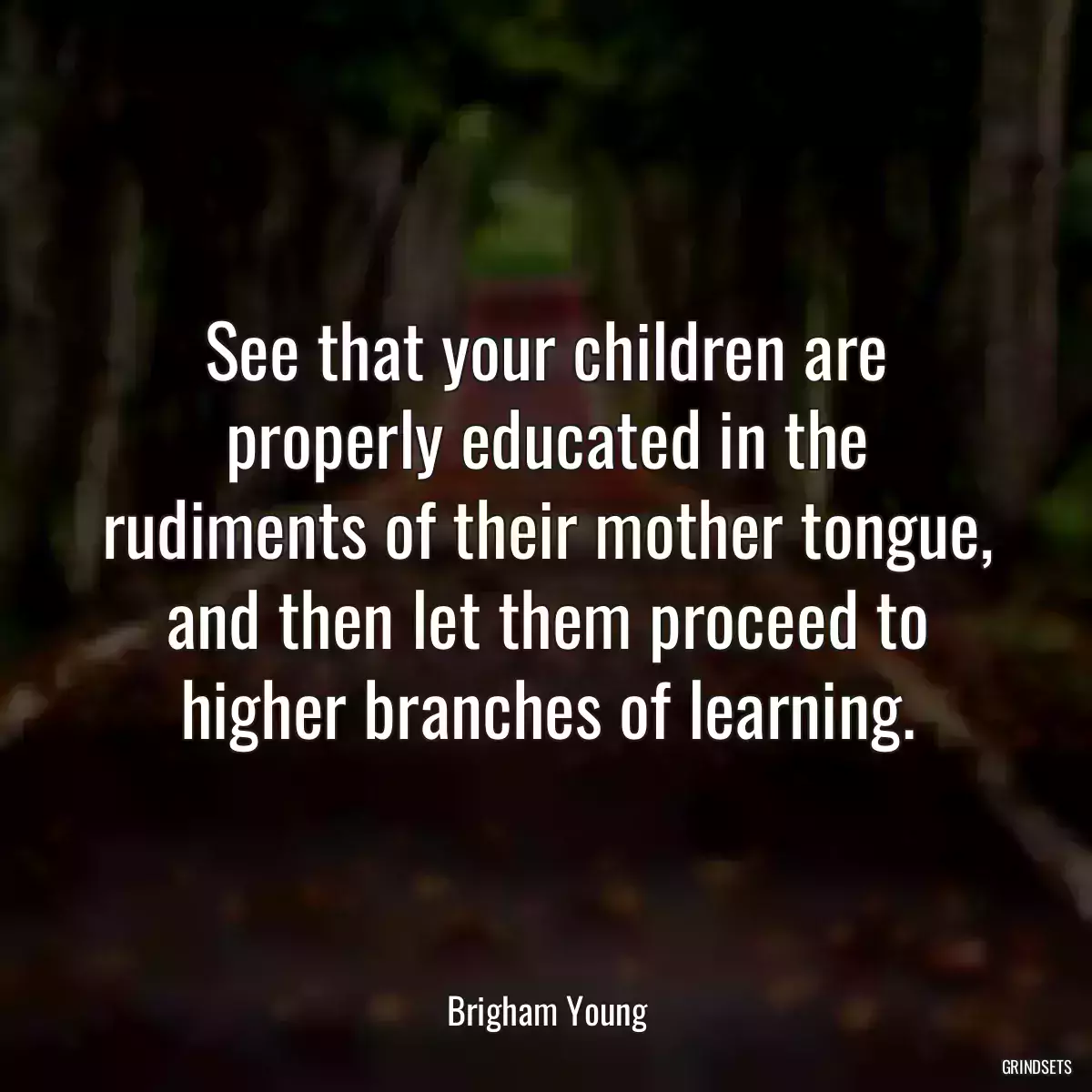 See that your children are properly educated in the rudiments of their mother tongue, and then let them proceed to higher branches of learning.