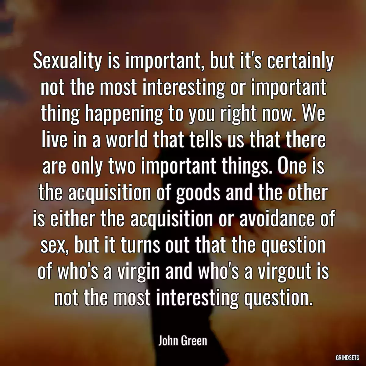 Sexuality is important, but it\'s certainly not the most interesting or important thing happening to you right now. We live in a world that tells us that there are only two important things. One is the acquisition of goods and the other is either the acquisition or avoidance of sex, but it turns out that the question of who\'s a virgin and who\'s a virgout is not the most interesting question.