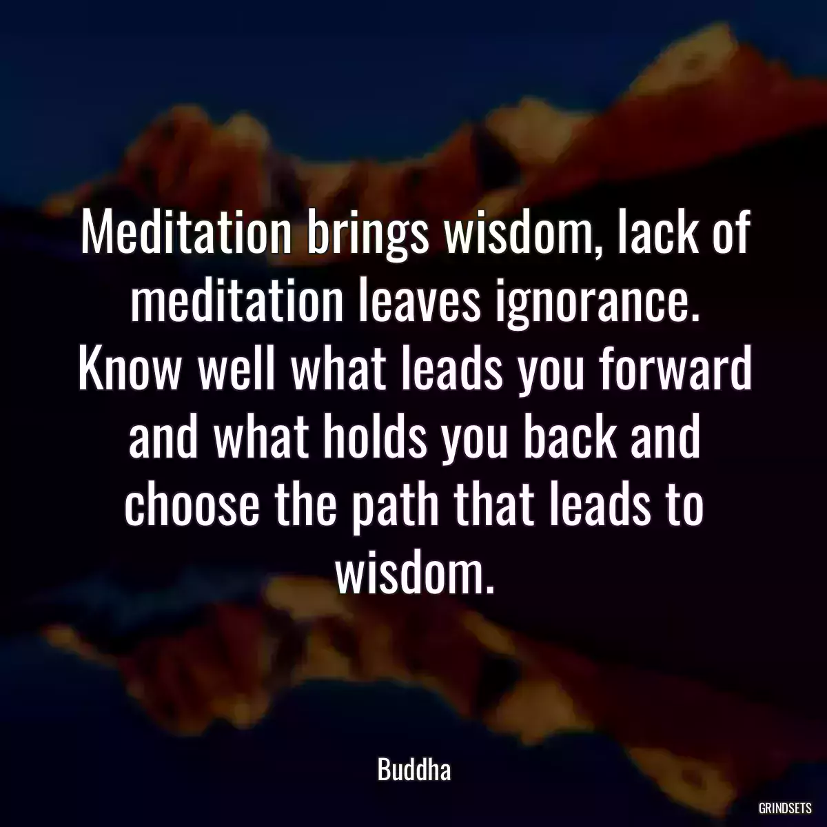 Meditation brings wisdom, lack of meditation leaves ignorance. Know well what leads you forward and what holds you back and choose the path that leads to wisdom.