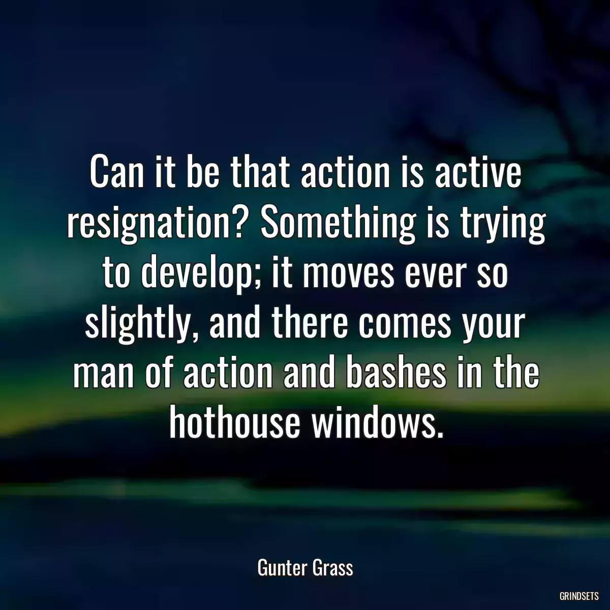 Can it be that action is active resignation? Something is trying to develop; it moves ever so slightly, and there comes your man of action and bashes in the hothouse windows.