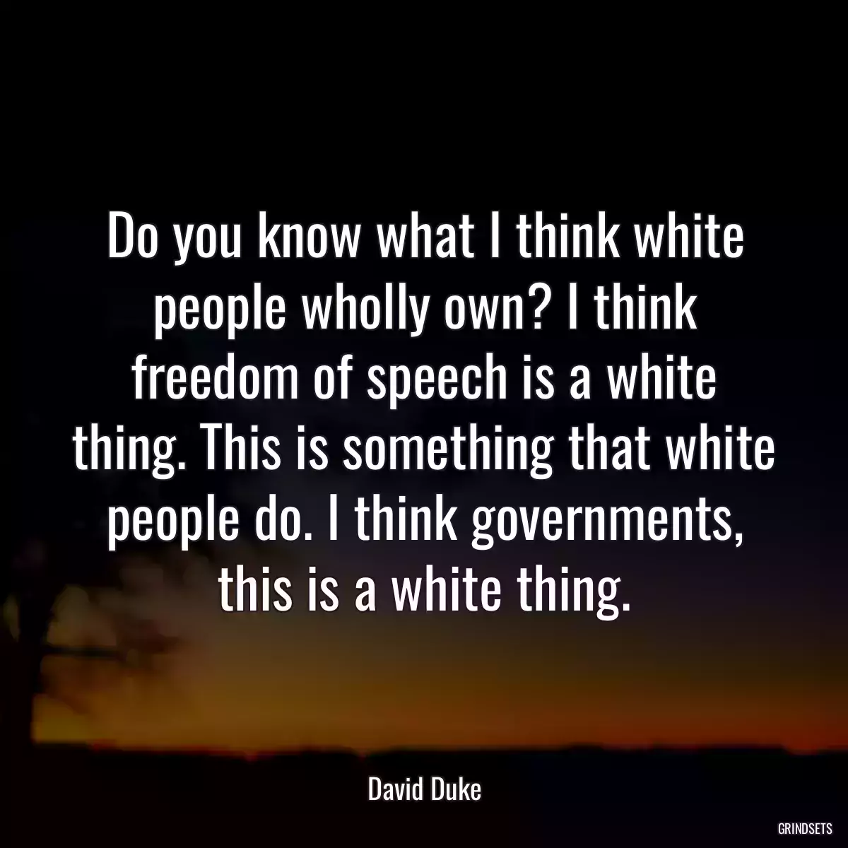 Do you know what I think white people wholly own? I think freedom of speech is a white thing. This is something that white people do. I think governments, this is a white thing.