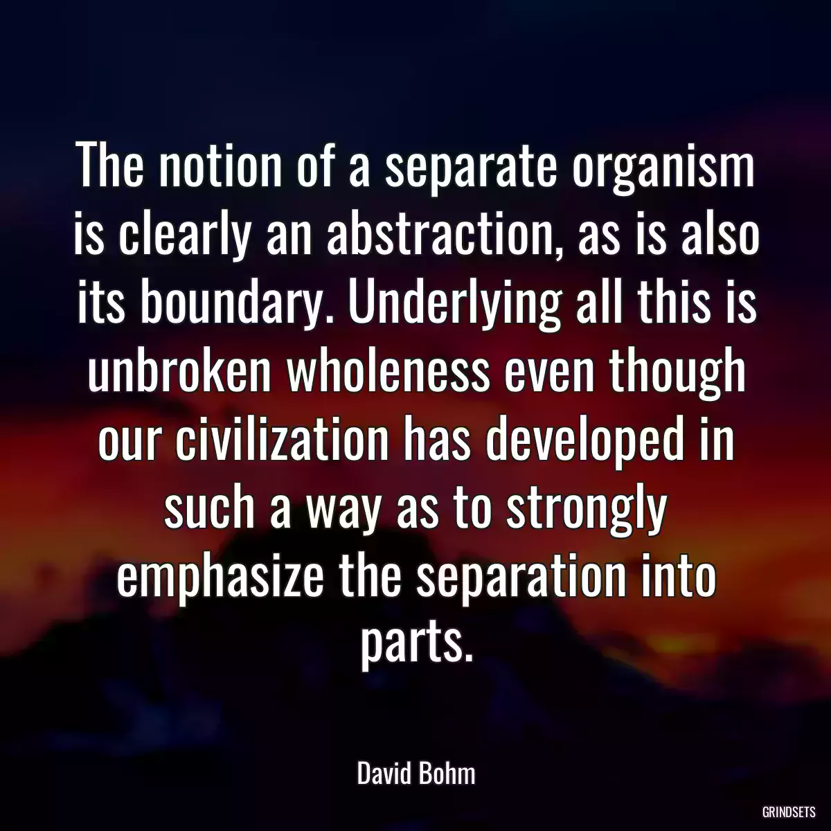 The notion of a separate organism is clearly an abstraction, as is also its boundary. Underlying all this is unbroken wholeness even though our civilization has developed in such a way as to strongly emphasize the separation into parts.