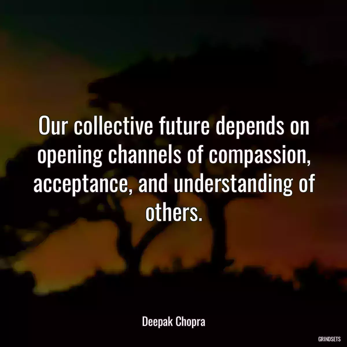 Our collective future depends on opening channels of compassion, acceptance, and understanding of others.