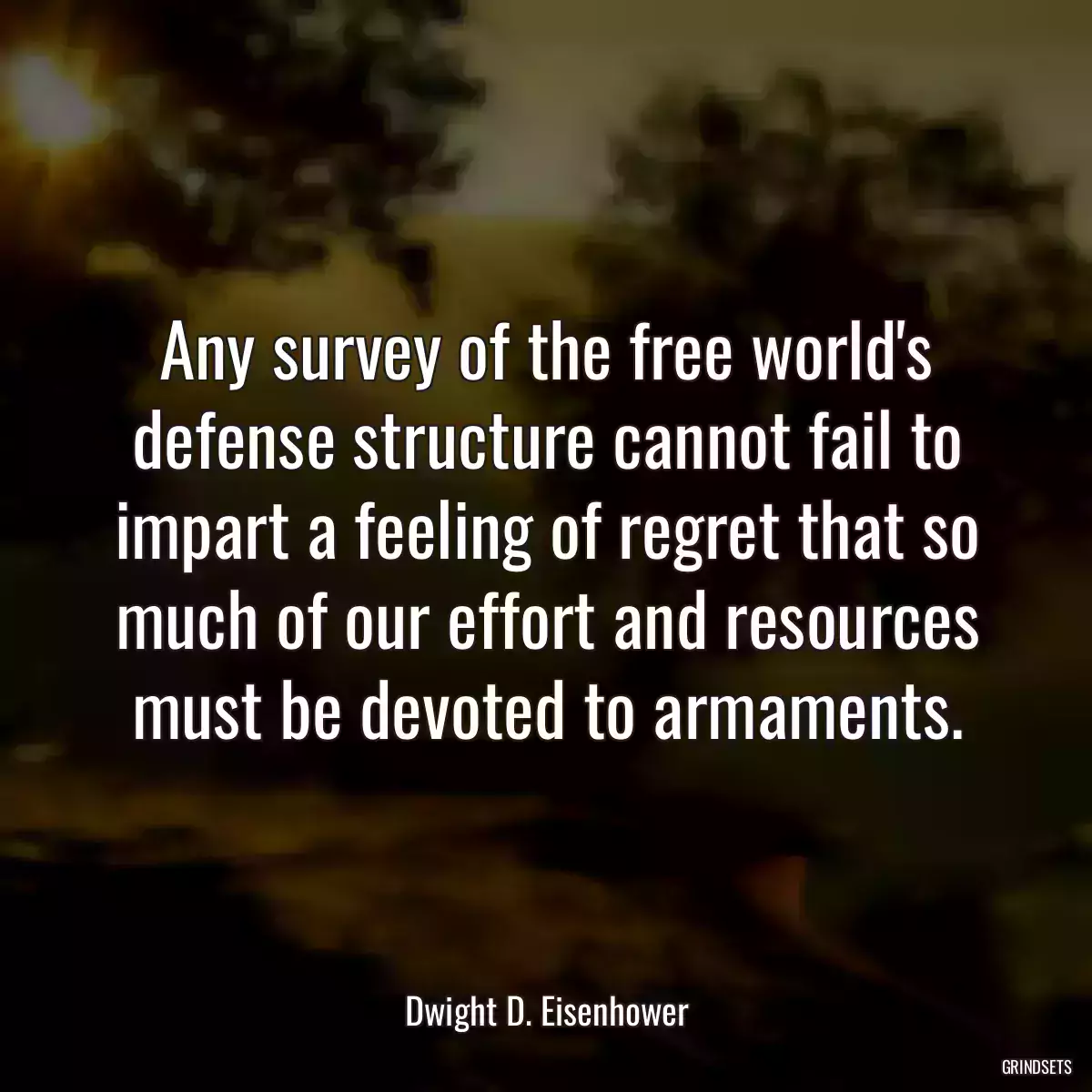 Any survey of the free world\'s defense structure cannot fail to impart a feeling of regret that so much of our effort and resources must be devoted to armaments.