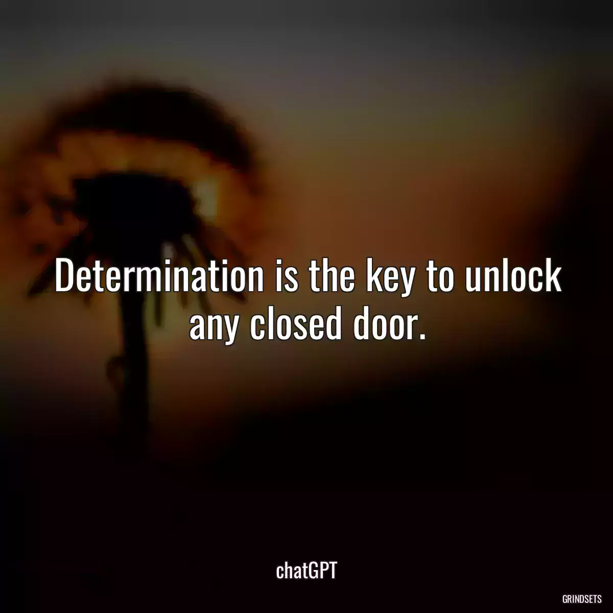 Determination is the key to unlock any closed door.