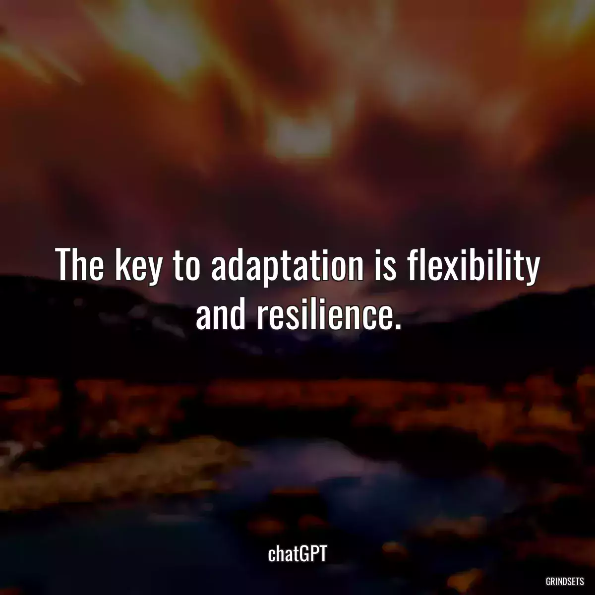 The key to adaptation is flexibility and resilience.