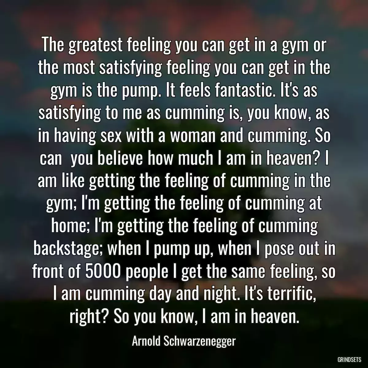 The greatest feeling you can get in a gym or the most satisfying feeling you can get in the gym is the pump. It feels fantastic. It\'s as satisfying to me as cumming is, you know, as in having sex with a woman and cumming. So can  you believe how much I am in heaven? I am like getting the feeling of cumming in the gym; I\'m getting the feeling of cumming at home; I\'m getting the feeling of cumming backstage; when I pump up, when I pose out in front of 5000 people I get the same feeling, so I am cumming day and night. It\'s terrific, right? So you know, I am in heaven.