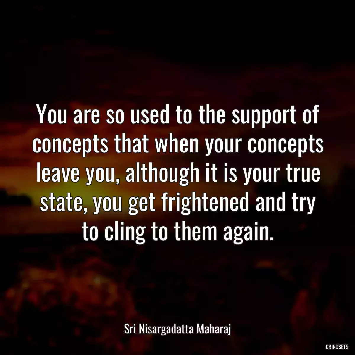 You are so used to the support of concepts that when your concepts leave you, although it is your true state, you get frightened and try to cling to them again.