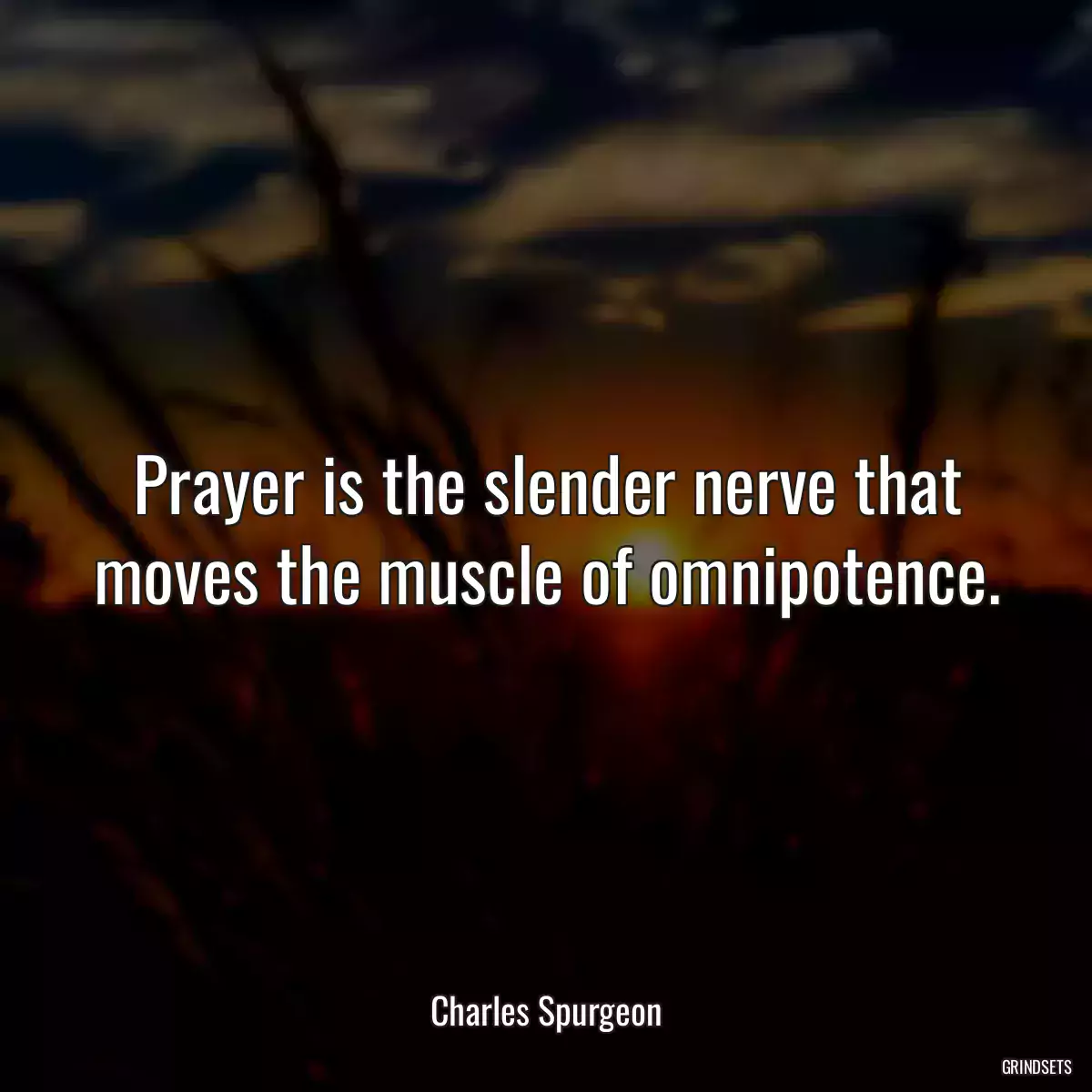 Prayer is the slender nerve that moves the muscle of omnipotence.