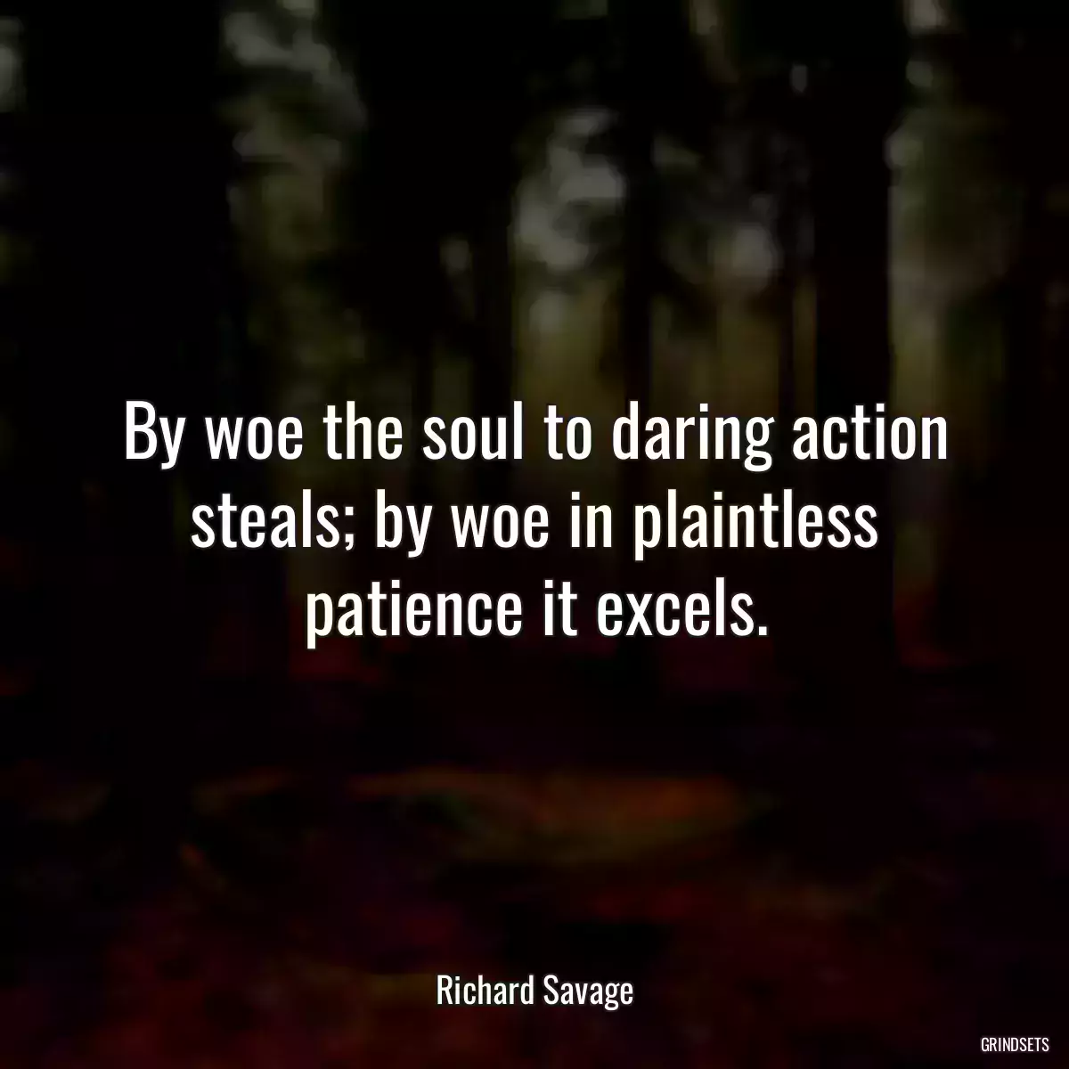 By woe the soul to daring action steals; by woe in plaintless patience it excels.