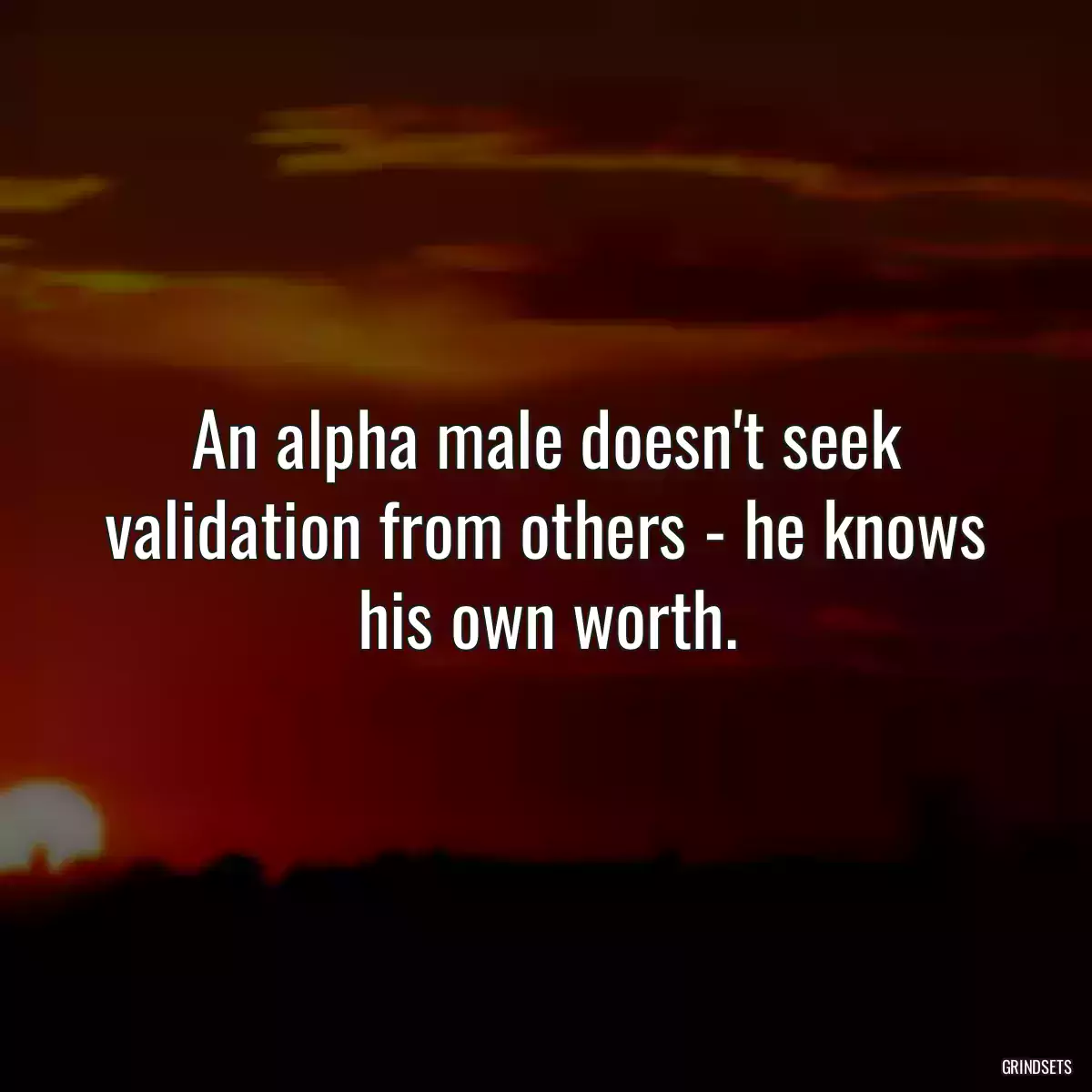 An alpha male doesn\'t seek validation from others - he knows his own worth.