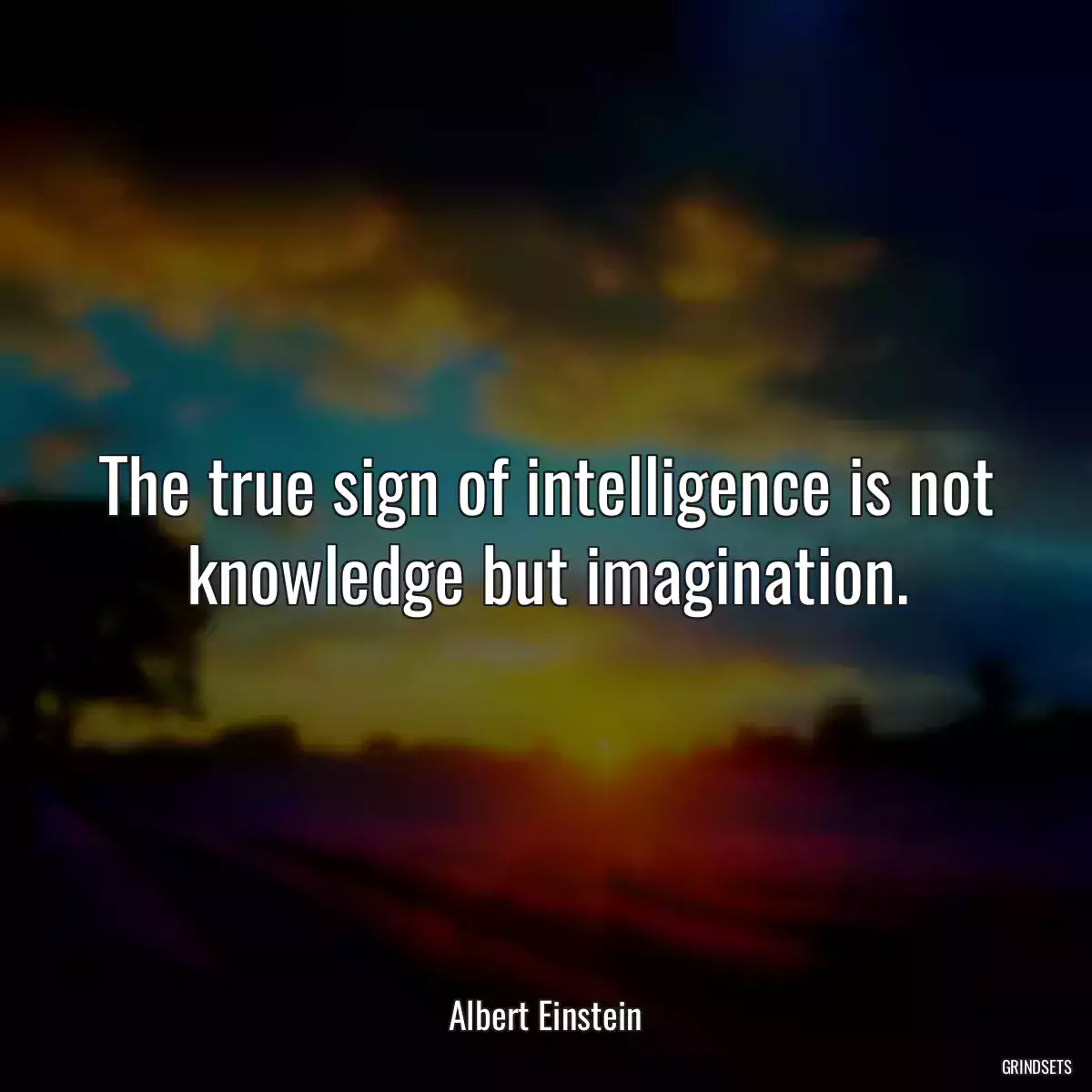 The true sign of intelligence is not knowledge but imagination.