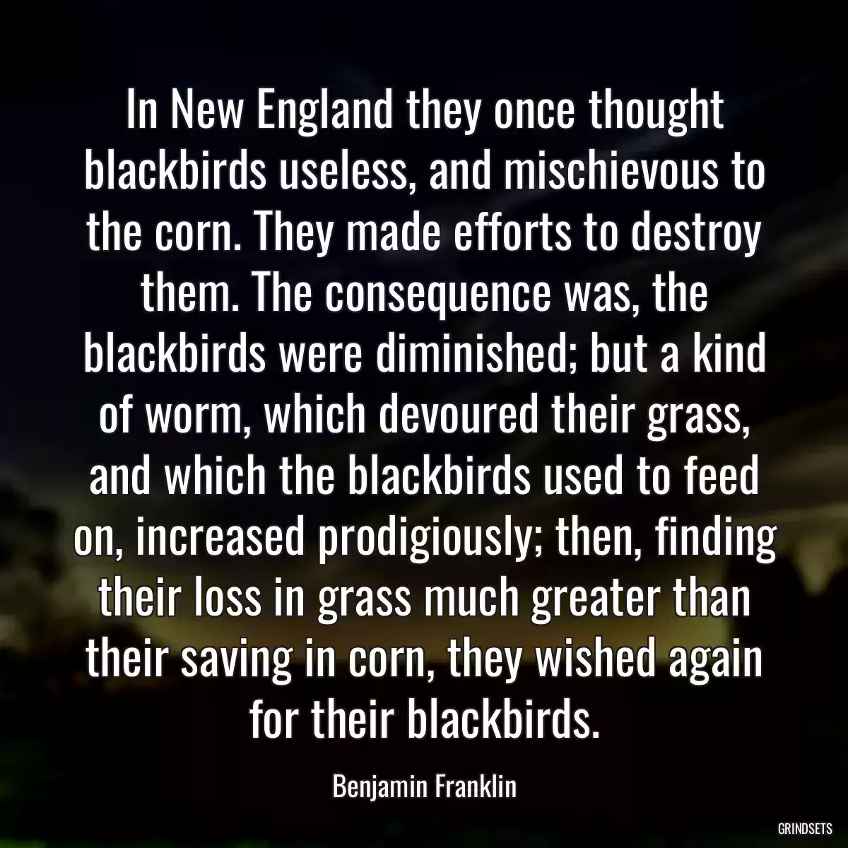 In New England they once thought blackbirds useless, and mischievous to the corn. They made efforts to destroy them. The consequence was, the blackbirds were diminished; but a kind of worm, which devoured their grass, and which the blackbirds used to feed on, increased prodigiously; then, finding their loss in grass much greater than their saving in corn, they wished again for their blackbirds.