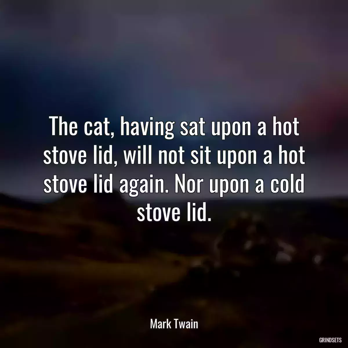 The cat, having sat upon a hot stove lid, will not sit upon a hot stove lid again. Nor upon a cold stove lid.