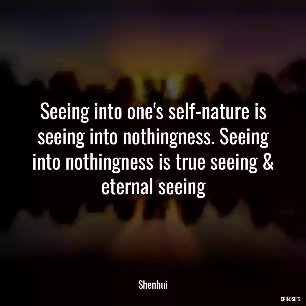 Seeing into one\'s self-nature is seeing into nothingness. Seeing into nothingness is true seeing & eternal seeing