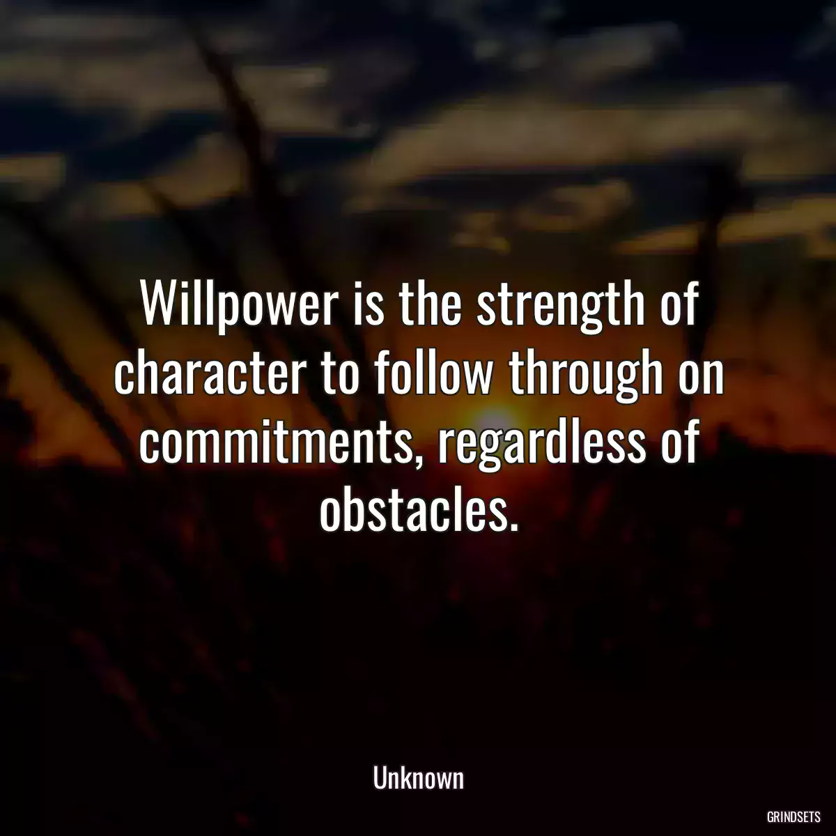 Willpower is the strength of character to follow through on commitments, regardless of obstacles.