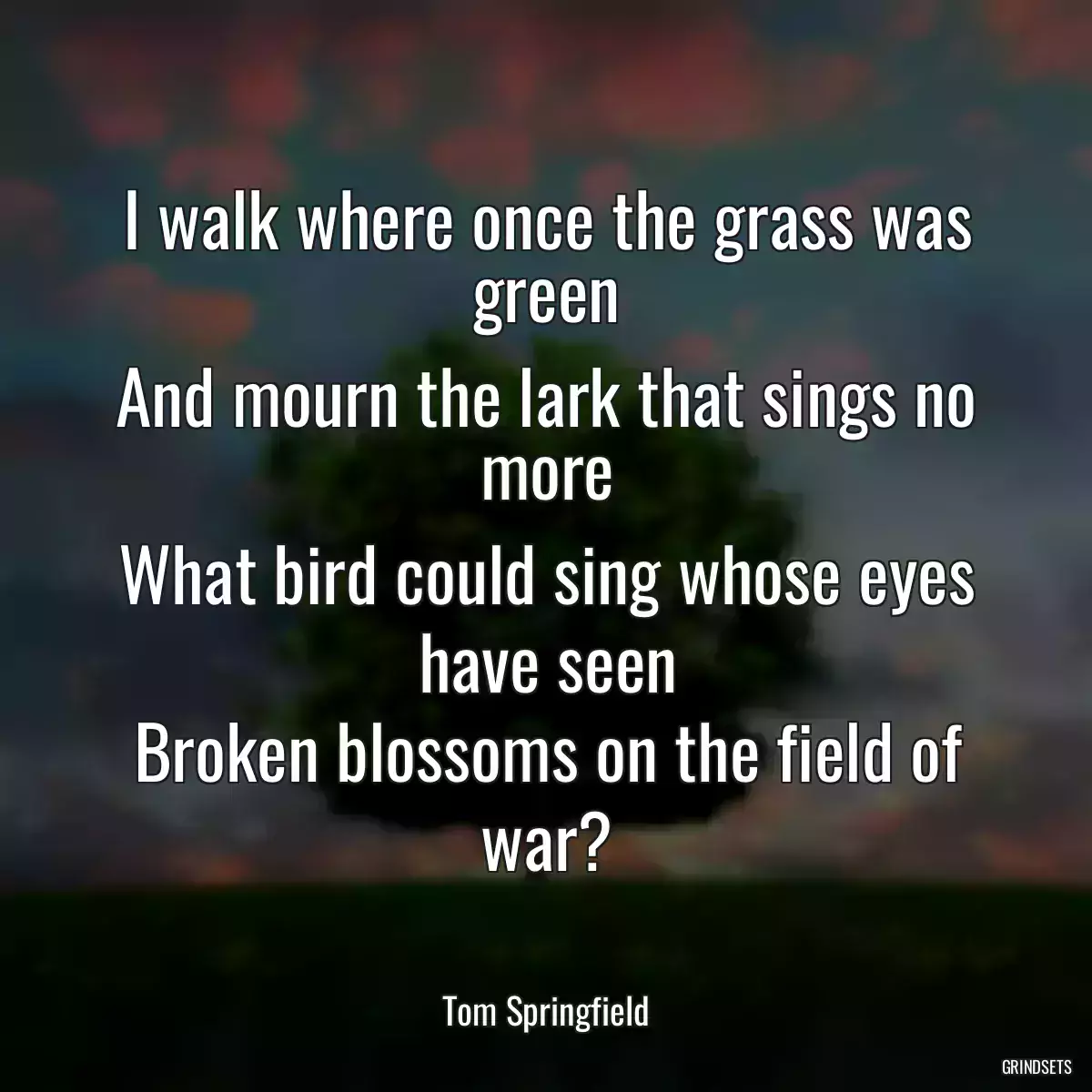 I walk where once the grass was green
And mourn the lark that sings no more
What bird could sing whose eyes have seen
Broken blossoms on the field of war?