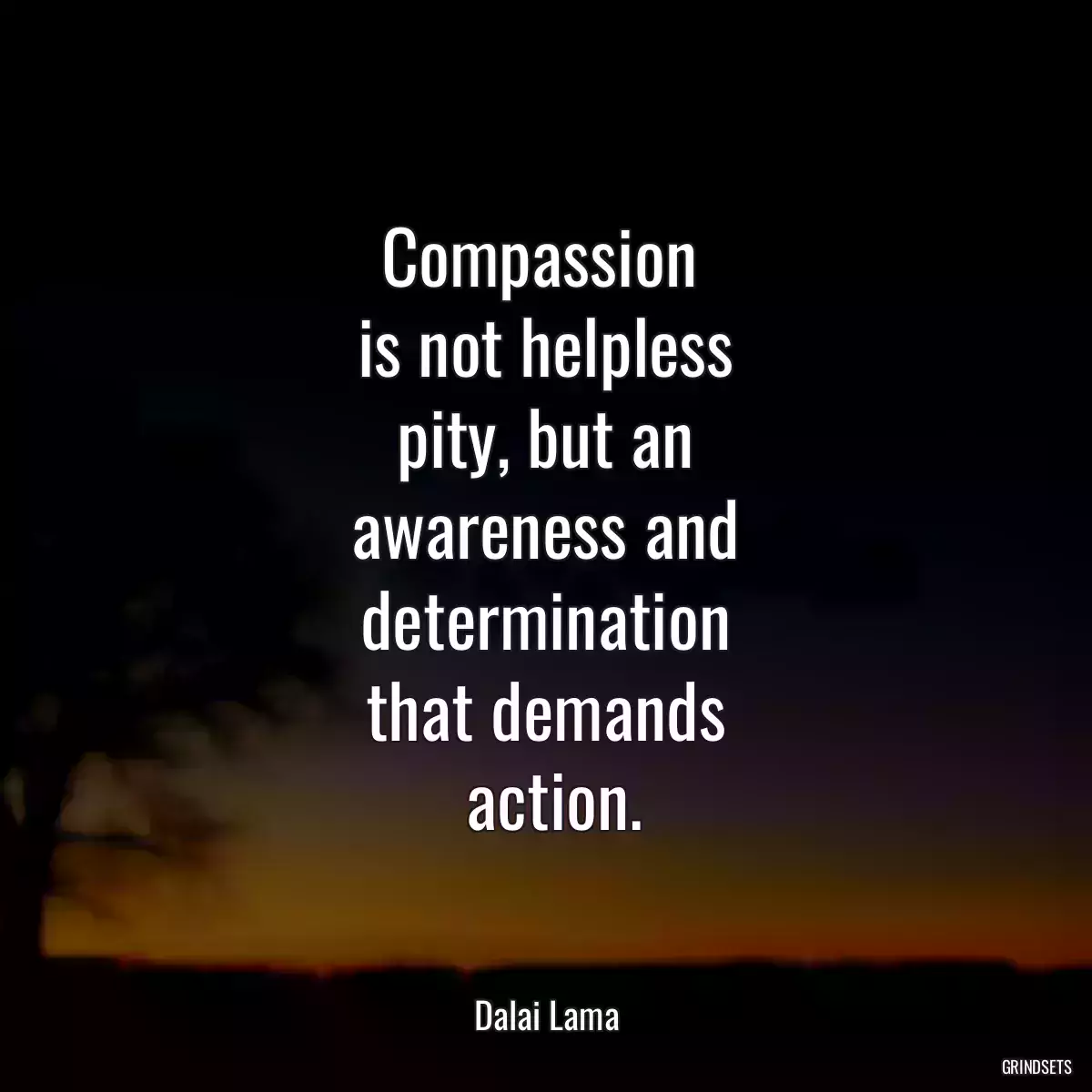 Compassion 
 is not helpless 
 pity, but an 
 awareness and 
 determination 
 that demands 
 action.