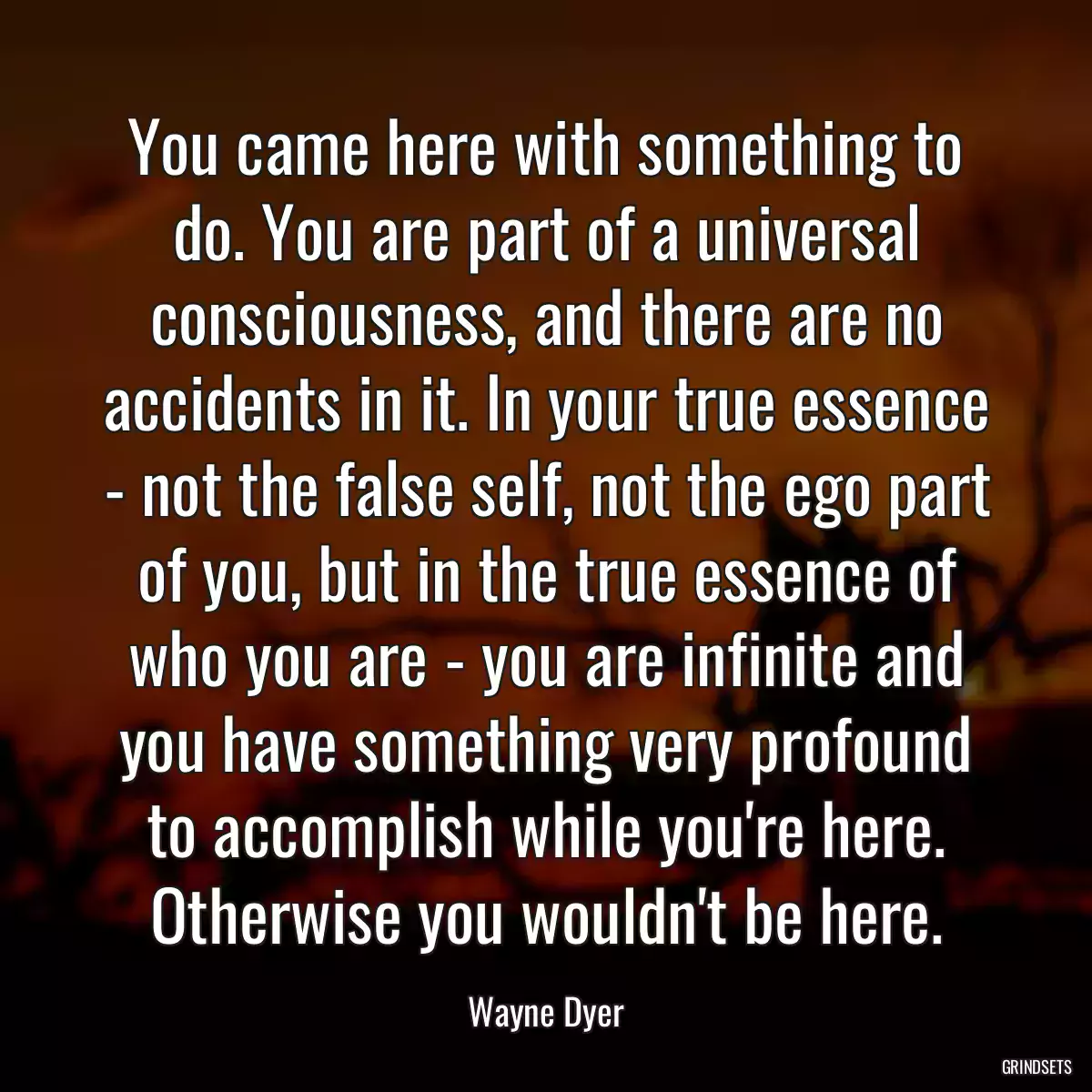 You came here with something to do. You are part of a universal consciousness, and there are no accidents in it. In your true essence - not the false self, not the ego part of you, but in the true essence of who you are - you are infinite and you have something very profound to accomplish while you\'re here. Otherwise you wouldn\'t be here.