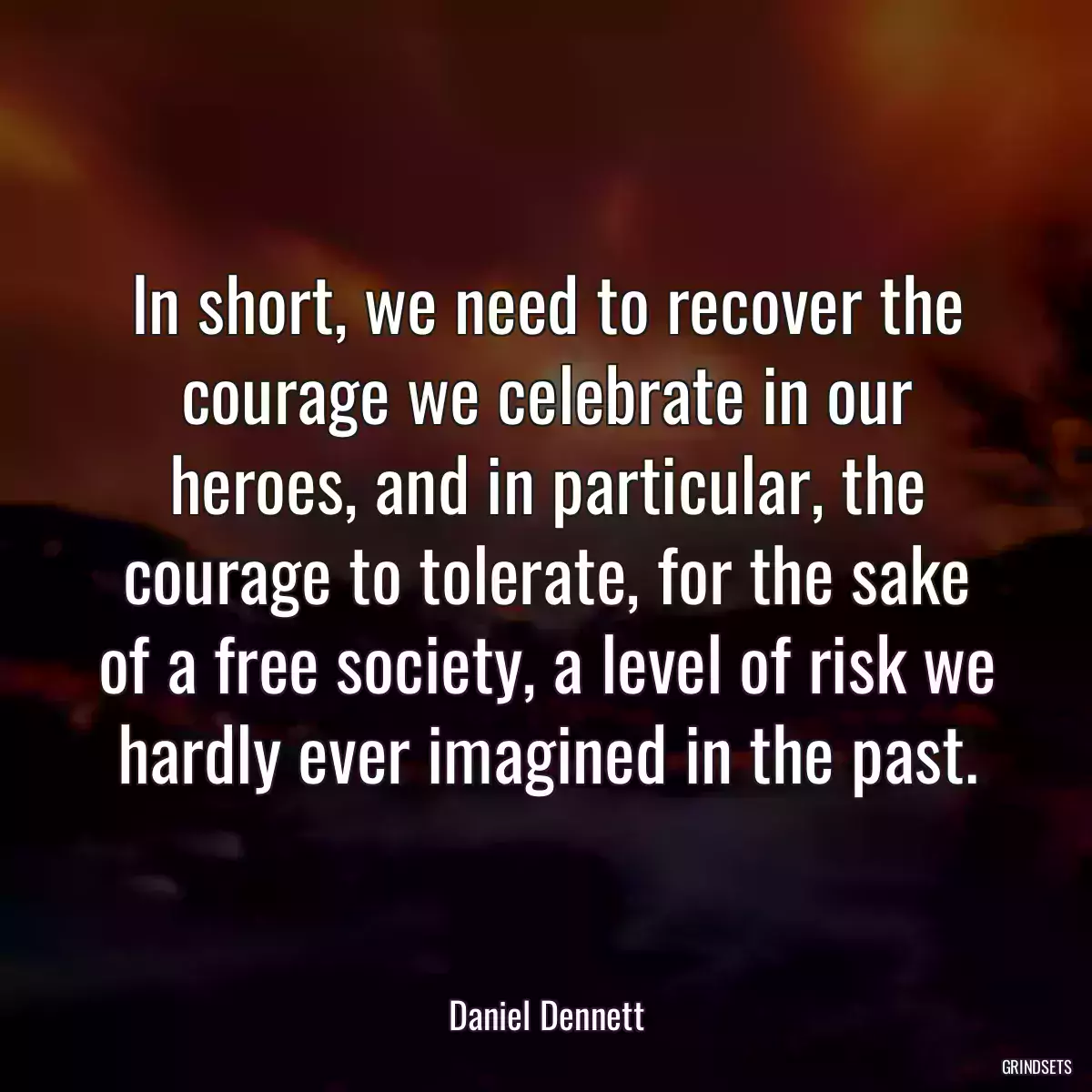 In short, we need to recover the courage we celebrate in our heroes, and in particular, the courage to tolerate, for the sake of a free society, a level of risk we hardly ever imagined in the past.