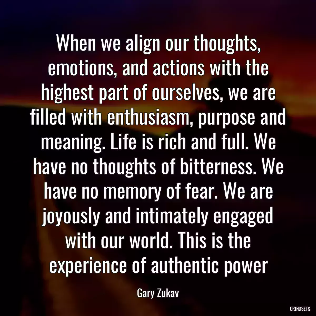 When we align our thoughts, emotions, and actions with the highest part of ourselves, we are filled with enthusiasm, purpose and meaning. Life is rich and full. We have no thoughts of bitterness. We have no memory of fear. We are joyously and intimately engaged with our world. This is the experience of authentic power