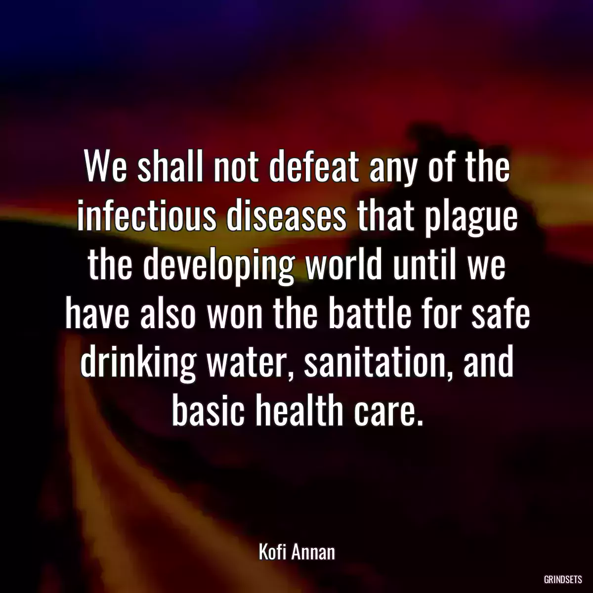 We shall not defeat any of the infectious diseases that plague the developing world until we have also won the battle for safe drinking water, sanitation, and basic health care.