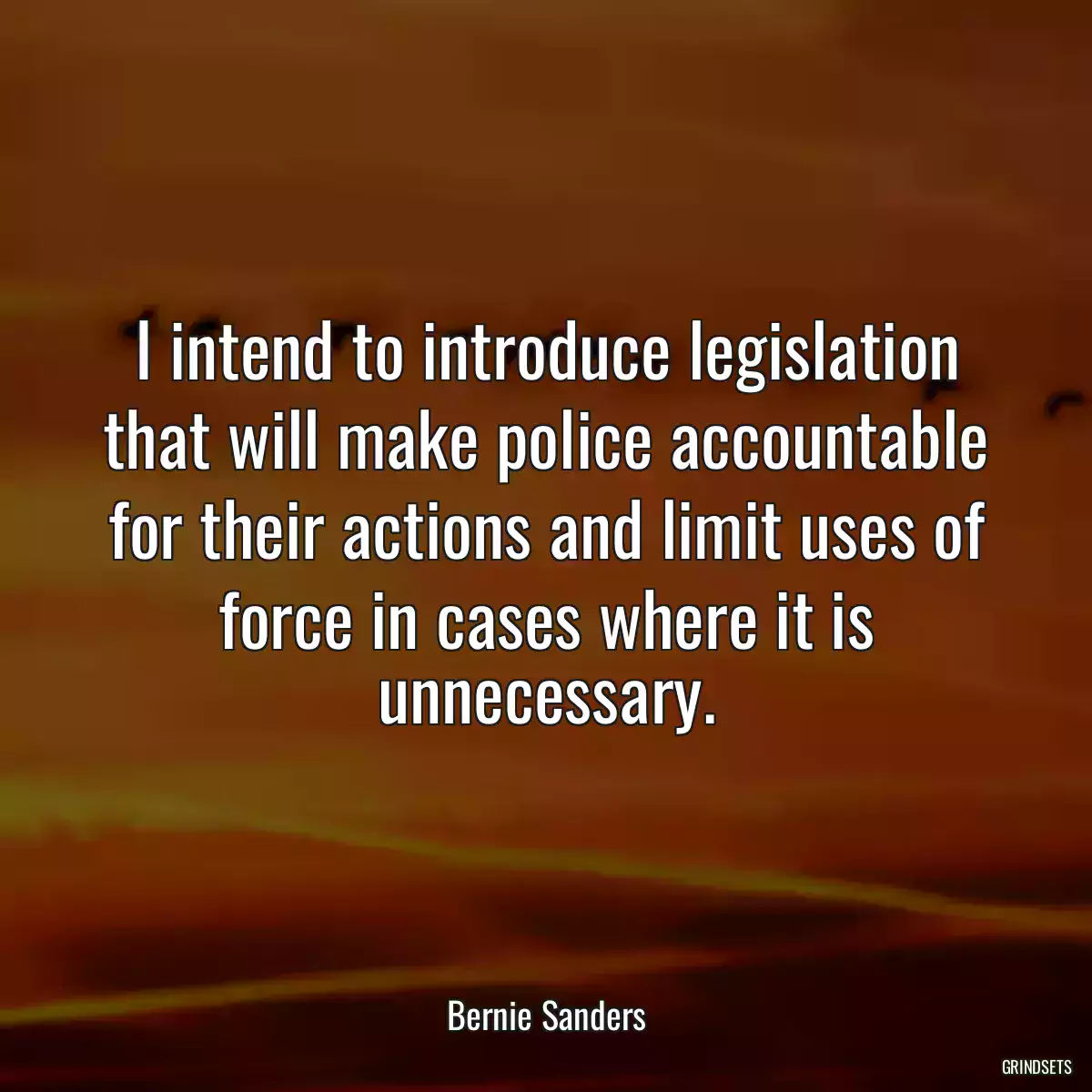 I intend to introduce legislation that will make police accountable for their actions and limit uses of force in cases where it is unnecessary.