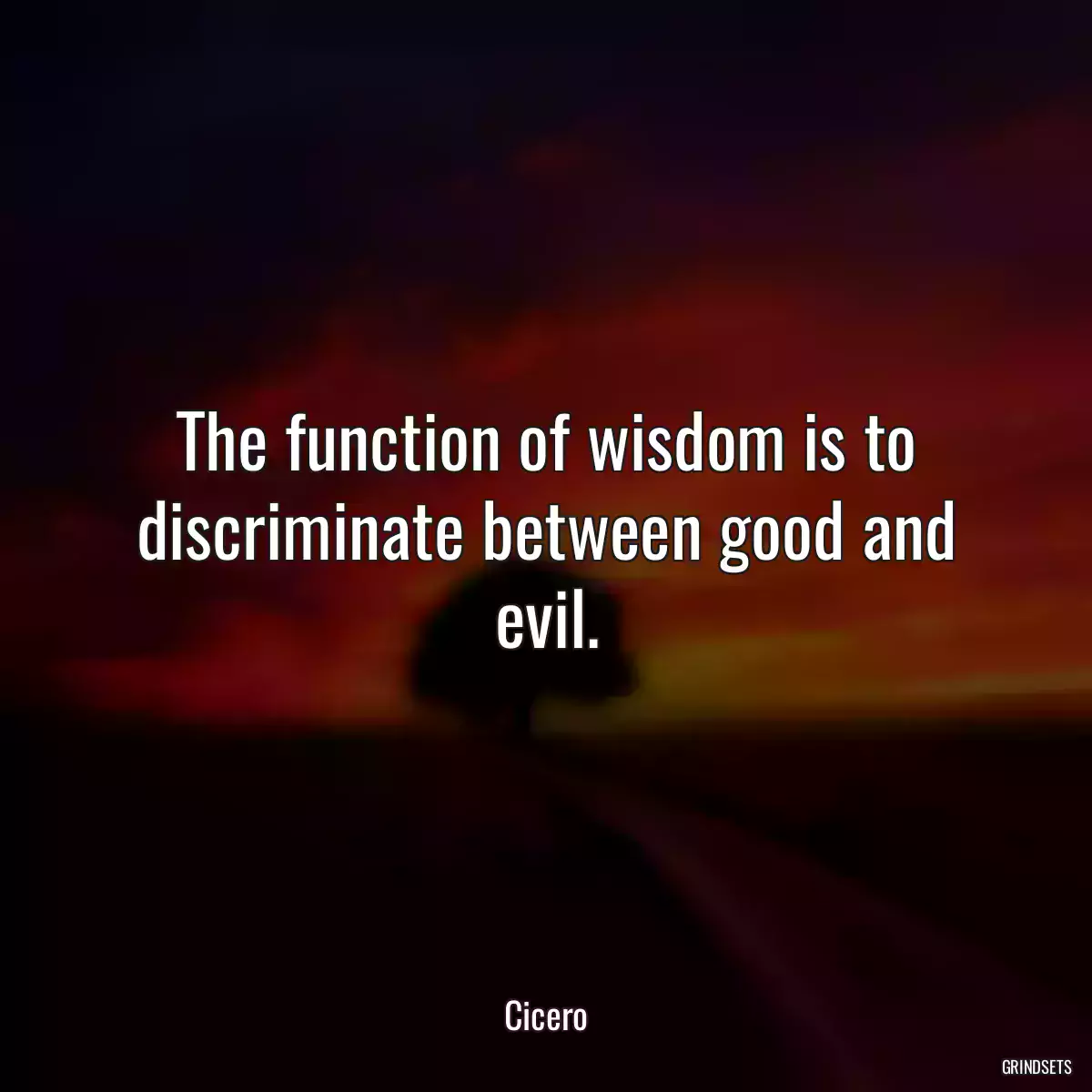 The function of wisdom is to discriminate between good and evil.