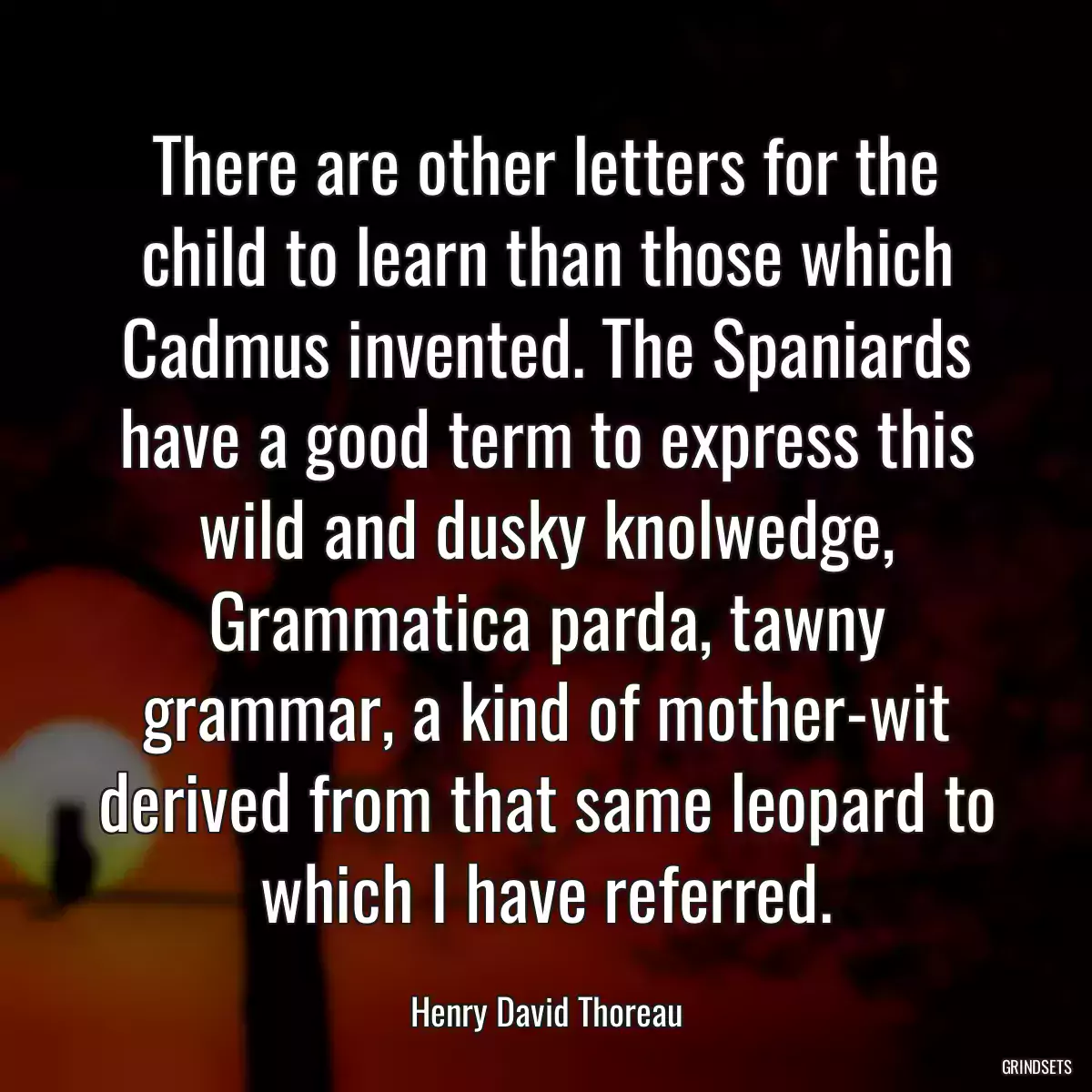 There are other letters for the child to learn than those which Cadmus invented. The Spaniards have a good term to express this wild and dusky knolwedge, Grammatica parda, tawny grammar, a kind of mother-wit derived from that same leopard to which I have referred.