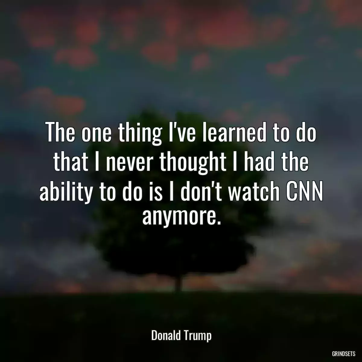 The one thing I\'ve learned to do that I never thought I had the ability to do is I don\'t watch CNN anymore.