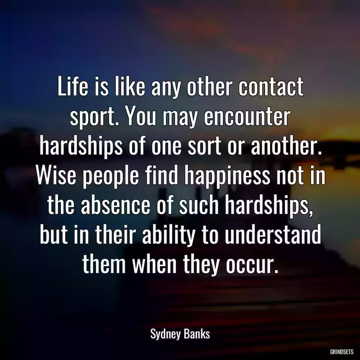 Life is like any other contact sport. You may encounter hardships of one sort or another. Wise people find happiness not in the absence of such hardships, but in their ability to understand them when they occur.