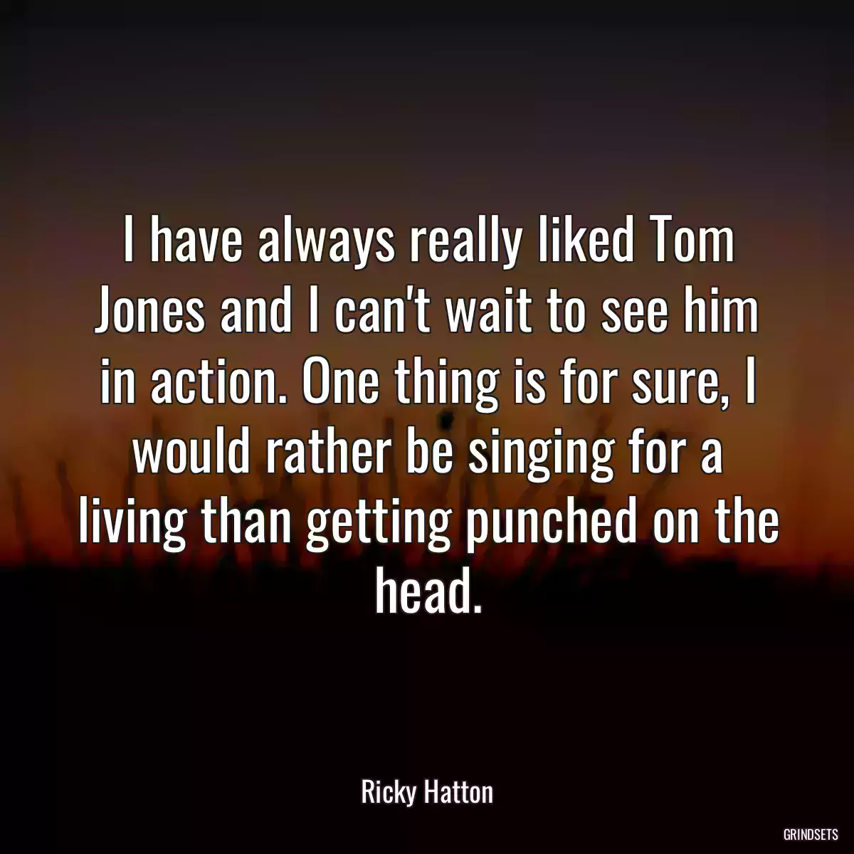 I have always really liked Tom Jones and I can\'t wait to see him in action. One thing is for sure, I would rather be singing for a living than getting punched on the head.