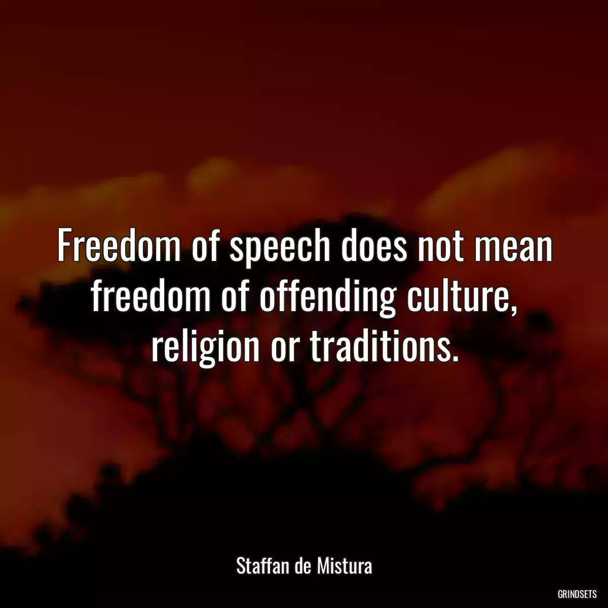 Freedom of speech does not mean freedom of offending culture, religion or traditions.