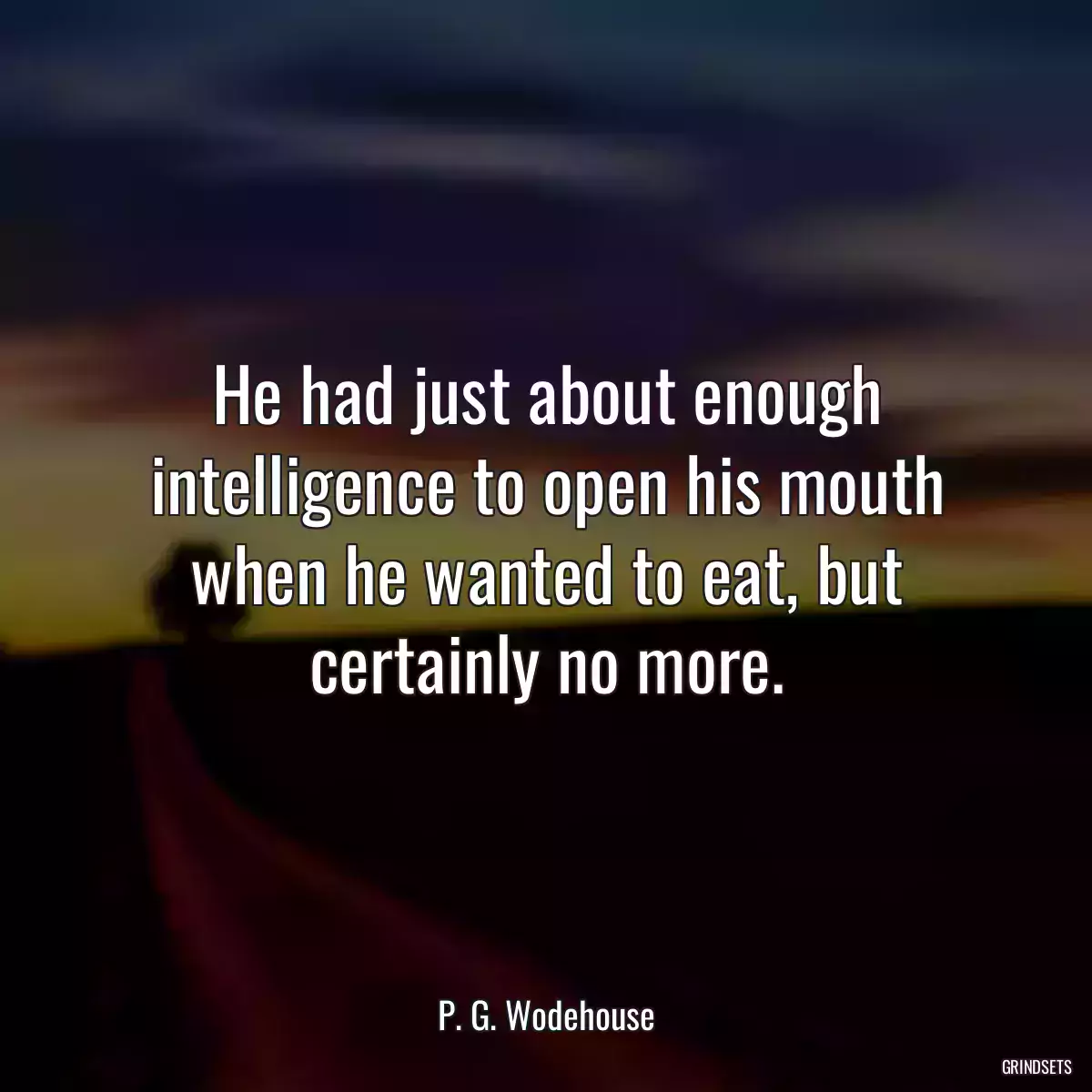 He had just about enough intelligence to open his mouth when he wanted to eat, but certainly no more.