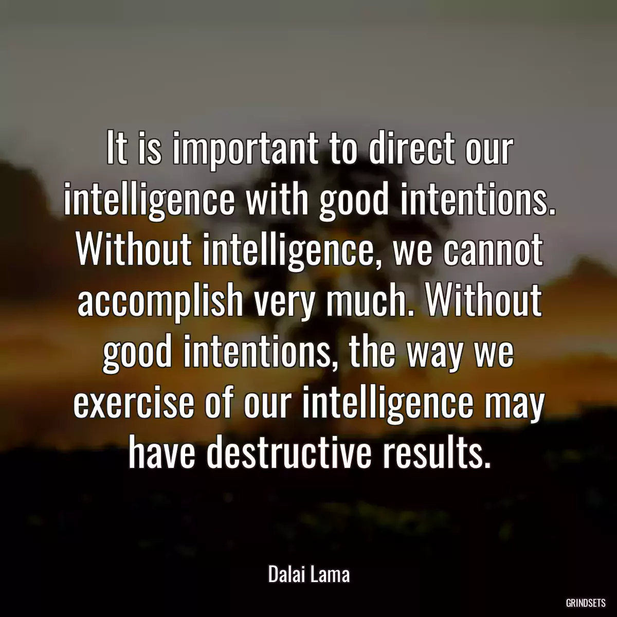 It is important to direct our intelligence with good intentions. Without intelligence, we cannot accomplish very much. Without good intentions, the way we exercise of our intelligence may have destructive results.