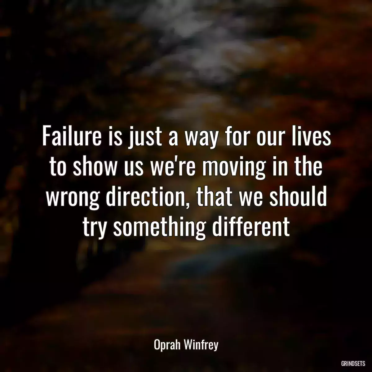 Failure is just a way for our lives to show us we\'re moving in the wrong direction, that we should try something different