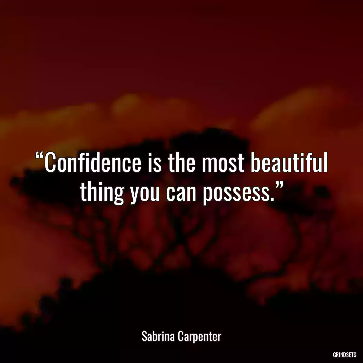 “Confidence is the most beautiful thing you can possess.”