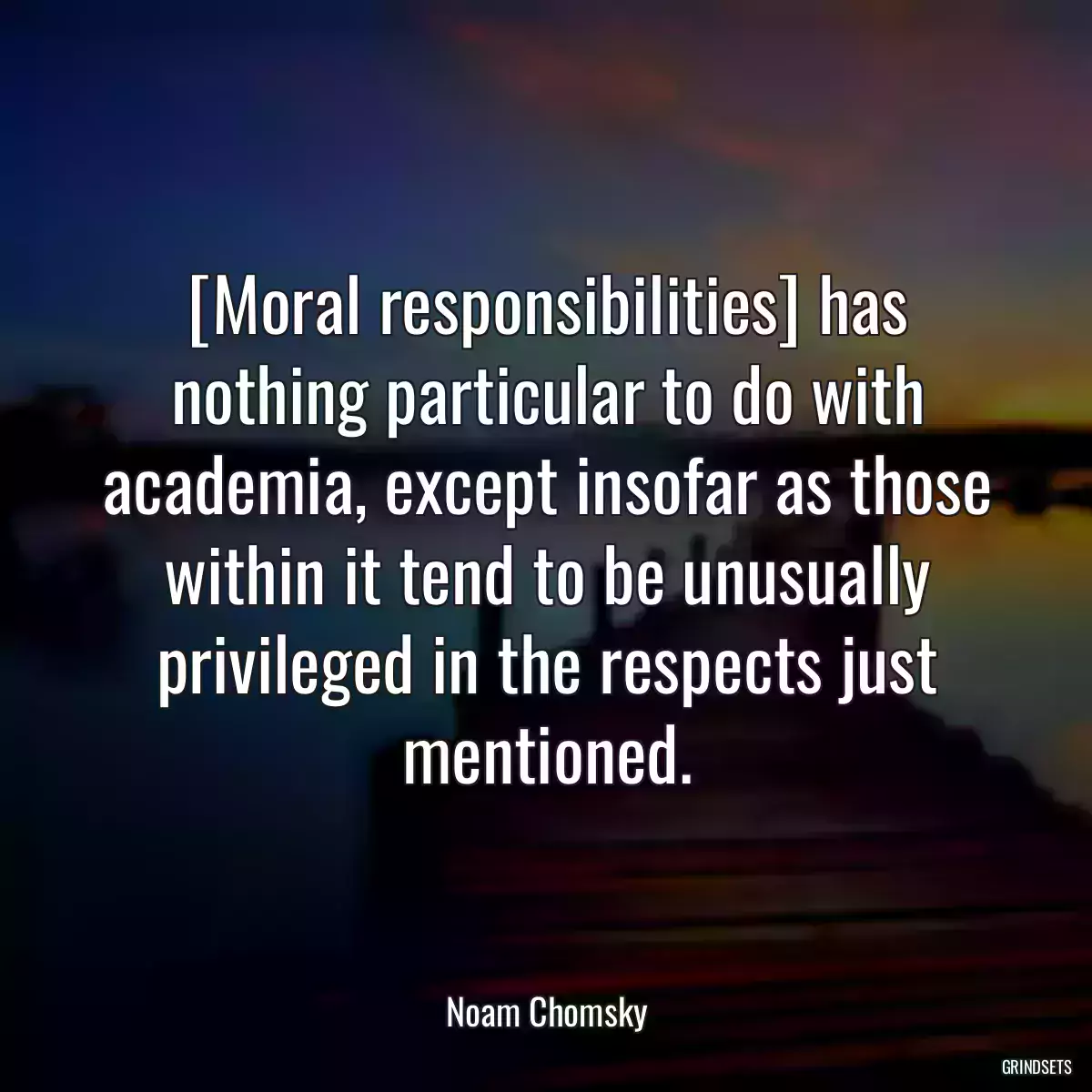 [Moral responsibilities] has nothing particular to do with academia, except insofar as those within it tend to be unusually privileged in the respects just mentioned.