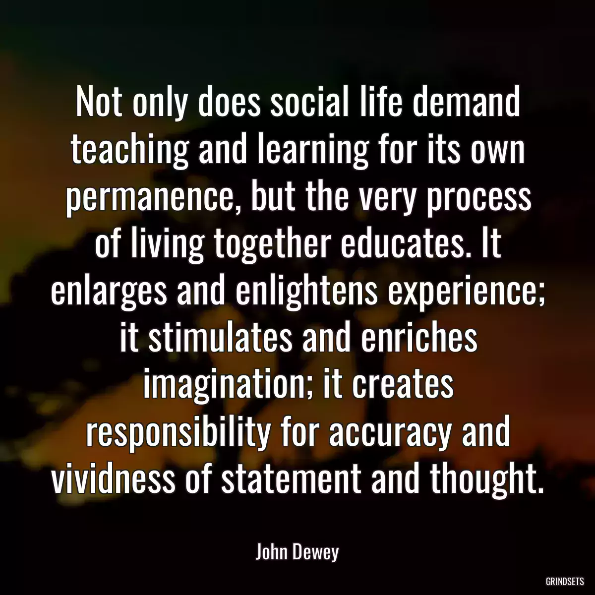 Not only does social life demand teaching and learning for its own permanence, but the very process of living together educates. It enlarges and enlightens experience; it stimulates and enriches imagination; it creates responsibility for accuracy and vividness of statement and thought.