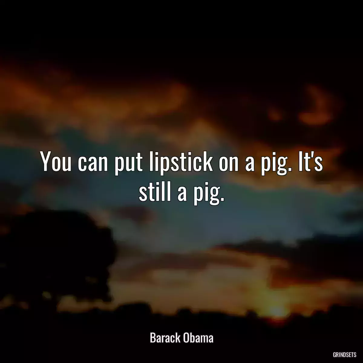 You can put lipstick on a pig. It\'s still a pig.