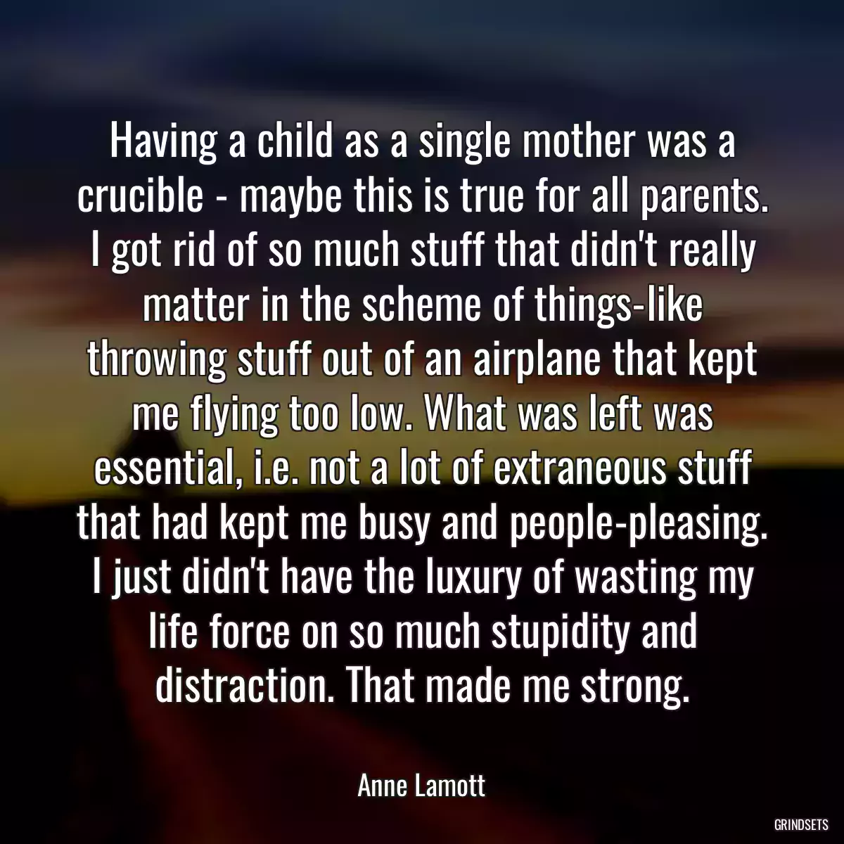 Having a child as a single mother was a crucible - maybe this is true for all parents. I got rid of so much stuff that didn\'t really matter in the scheme of things-like throwing stuff out of an airplane that kept me flying too low. What was left was essential, i.e. not a lot of extraneous stuff that had kept me busy and people-pleasing. I just didn\'t have the luxury of wasting my life force on so much stupidity and distraction. That made me strong.