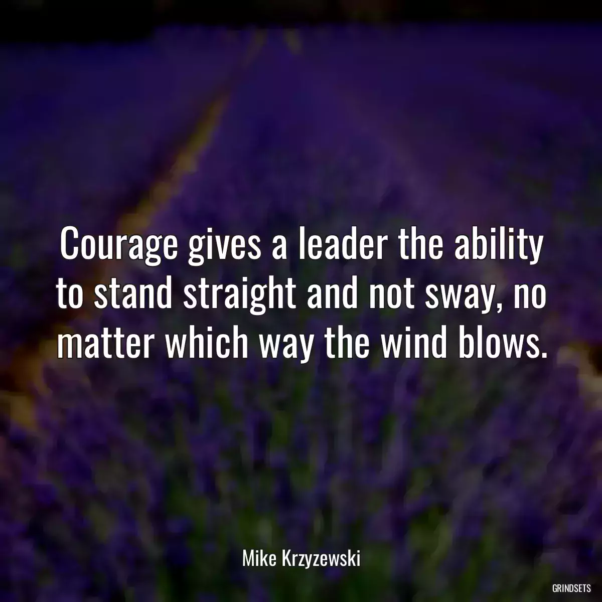 Courage gives a leader the ability to stand straight and not sway, no matter which way the wind blows.