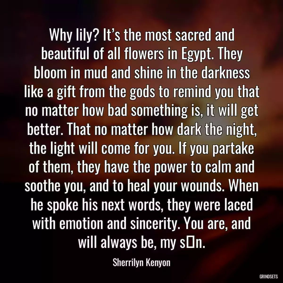 Why lily? It’s the most sacred and beautiful of all flowers in Egypt. They bloom in mud and shine in the darkness like a gift from the gods to remind you that no matter how bad something is, it will get better. That no matter how dark the night, the light will come for you. If you partake of them, they have the power to calm and soothe you, and to heal your wounds. When he spoke his next words, they were laced with emotion and sincerity. You are, and will always be, my sšn.