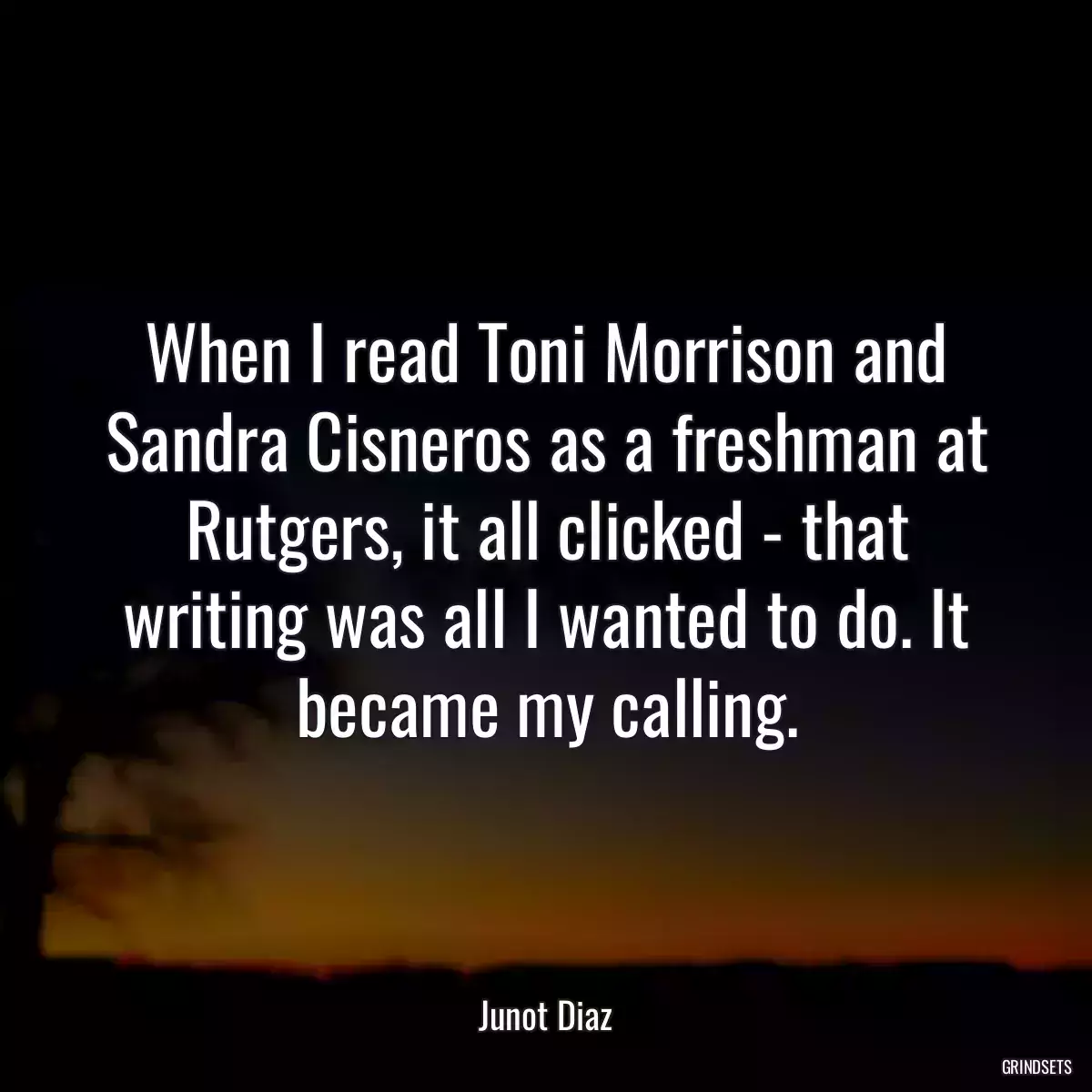 When I read Toni Morrison and Sandra Cisneros as a freshman at Rutgers, it all clicked - that writing was all I wanted to do. It became my calling.