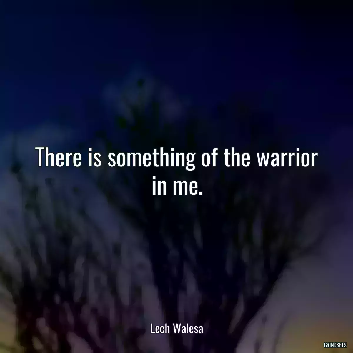 There is something of the warrior in me.