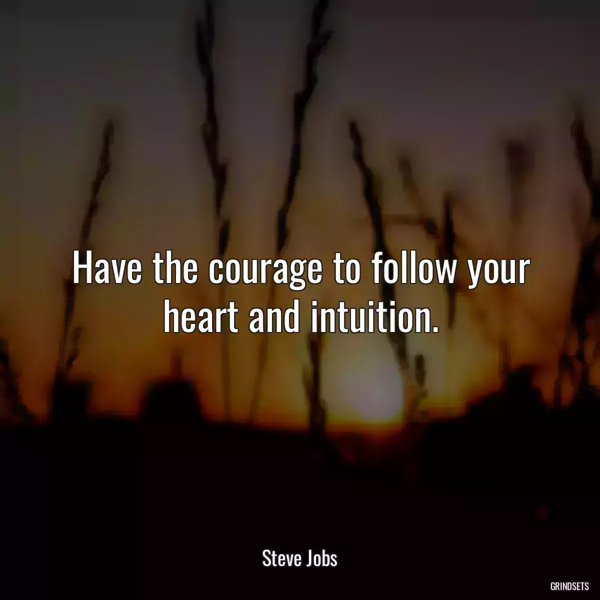 Have the courage to follow your heart and intuition.